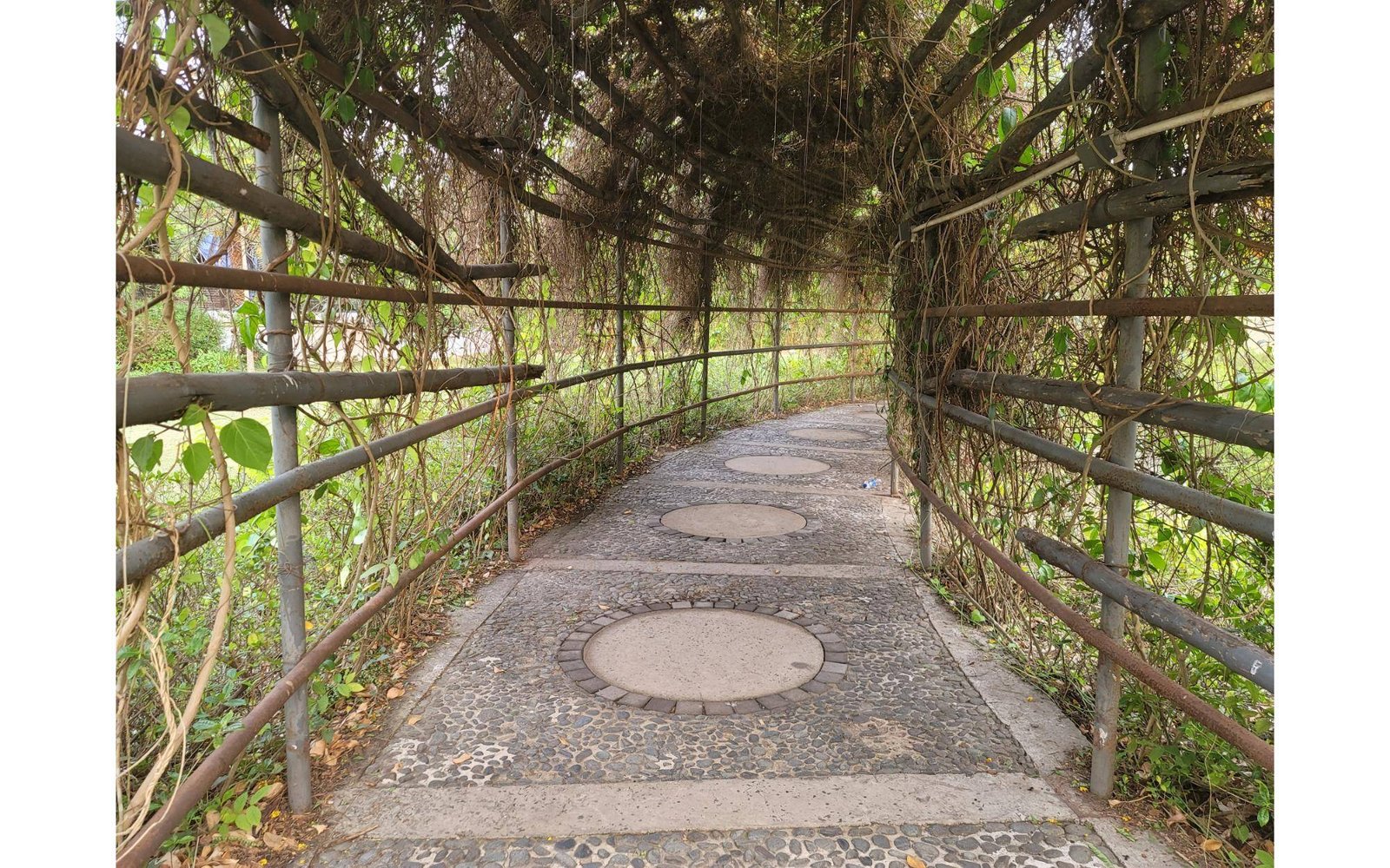 The Japanese Forest within Eco Park architecture