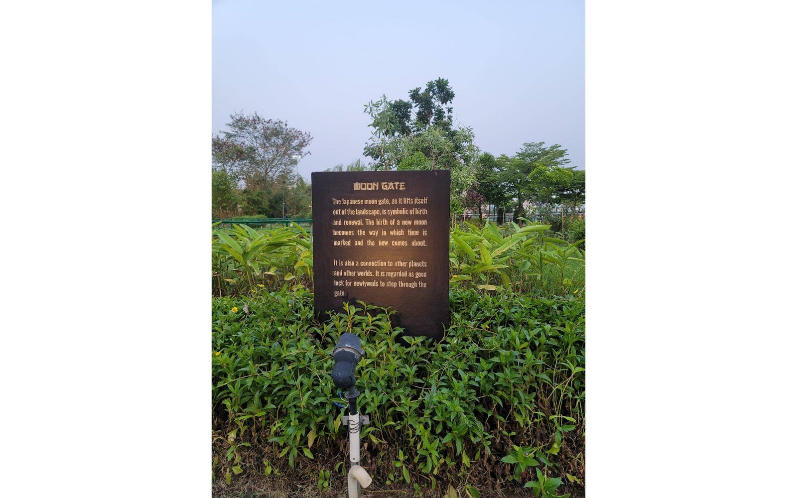 The Japanese Forest within Eco Park