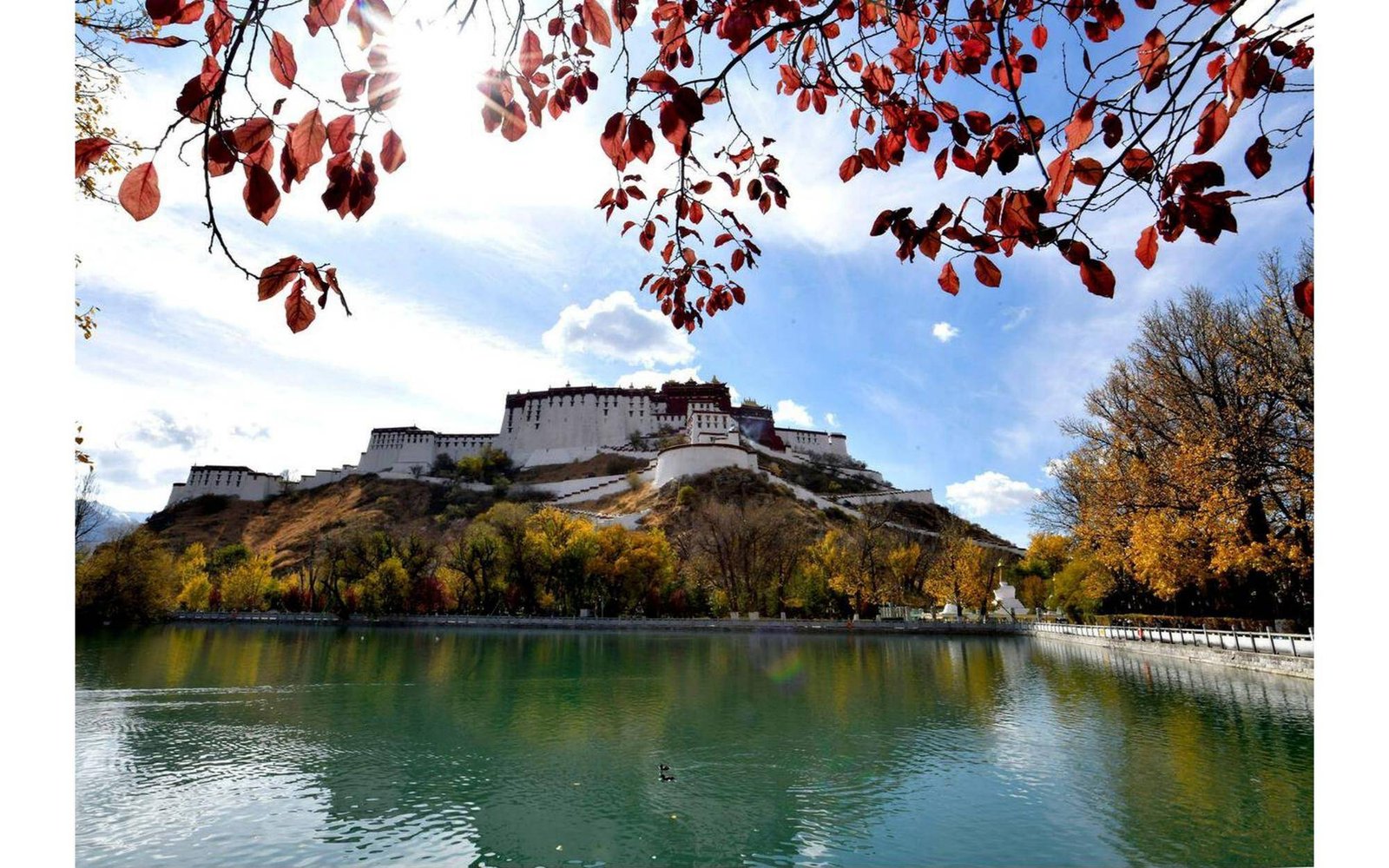 The Potala Palace as an architectural and environmental wonder