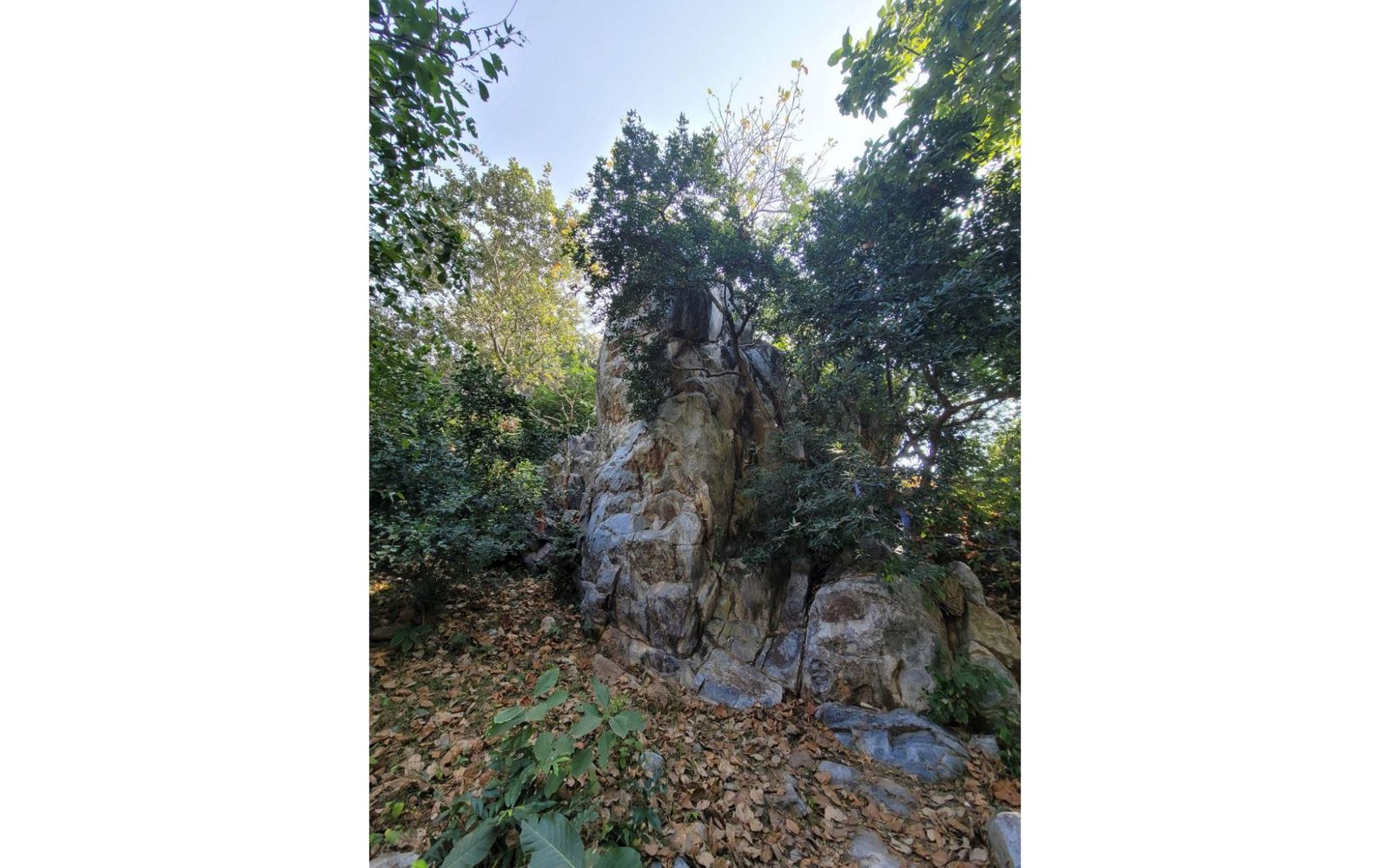 গৃধ্রকূট পর্বত