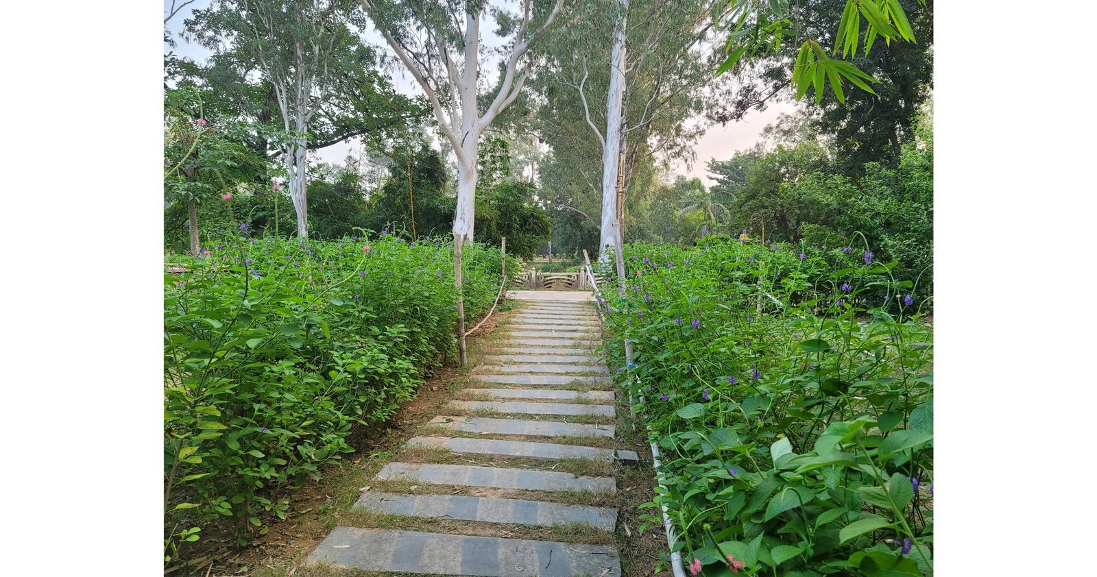 ভেনুবন
