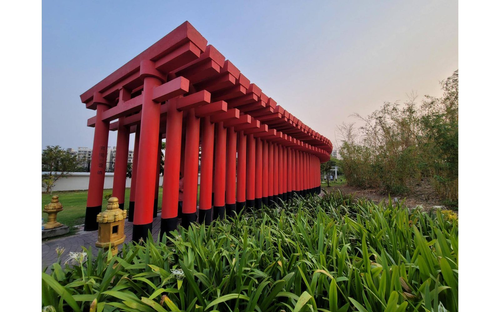 The Japanese Forest within Eco Park