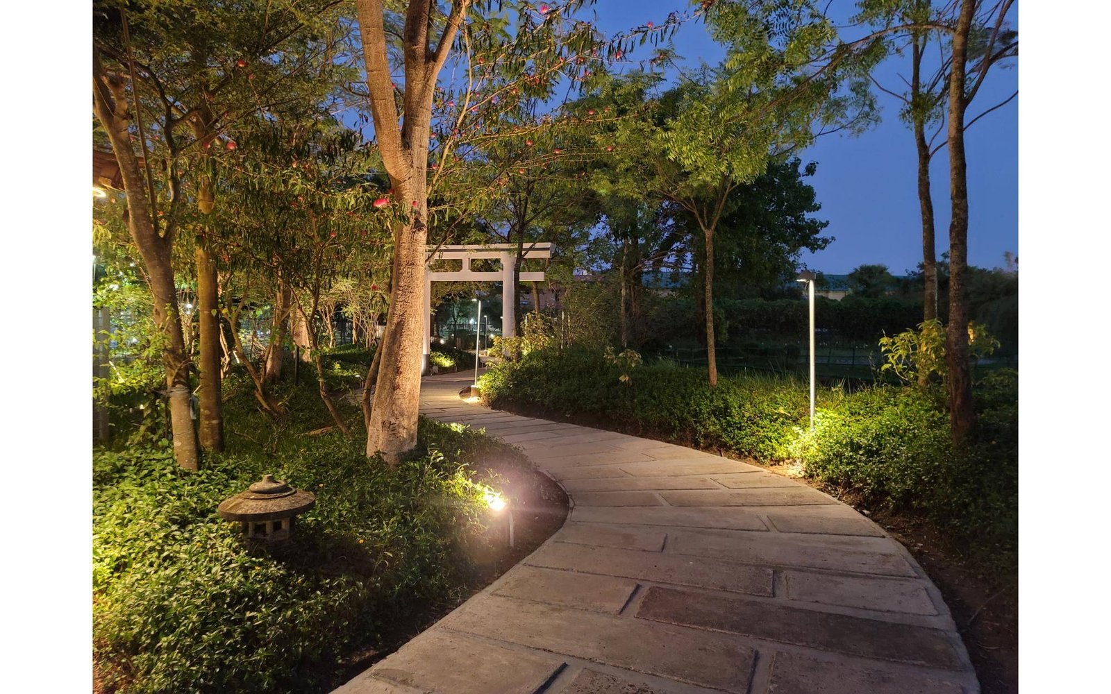 The Japanese Forest within Eco Park